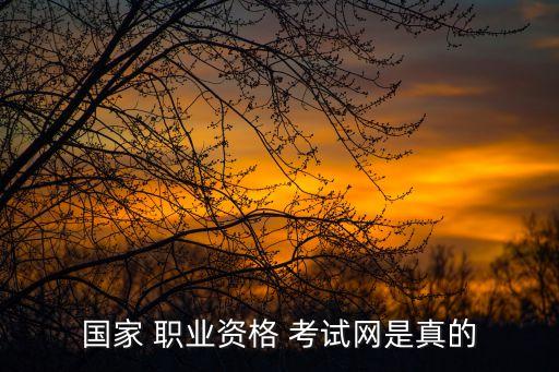国家 职业资格 考试网是真的