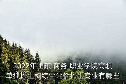 2022年山东 商务 职业学院高职单独招生和综合评价招生专业有哪些
