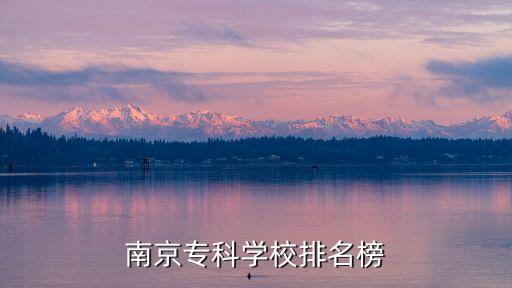 南京市职业技师学院,广西职业技术学院