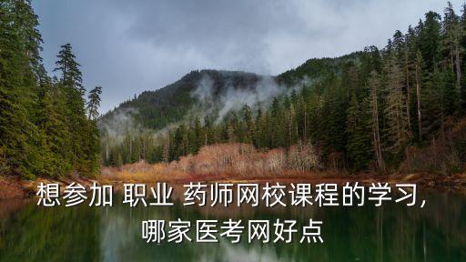 谁有职业药师视频,职业药师那个机构的视频好