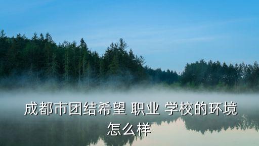 成都希望职业学校在校学生