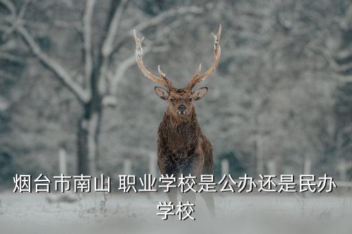 烟台市南山 职业学校是公办还是民办学校