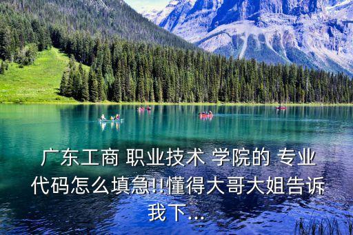  广东工商 职业技术 学院的 专业 代码怎么填急!!懂得大哥大姐告诉我下...