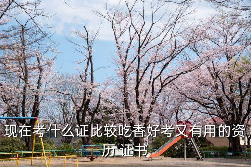 容易考出的职业证书,职业技能证书有哪些可以自己考