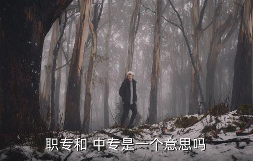 职业中专 普通中专,普通中专的毕业证盖职业中专的章可以吗