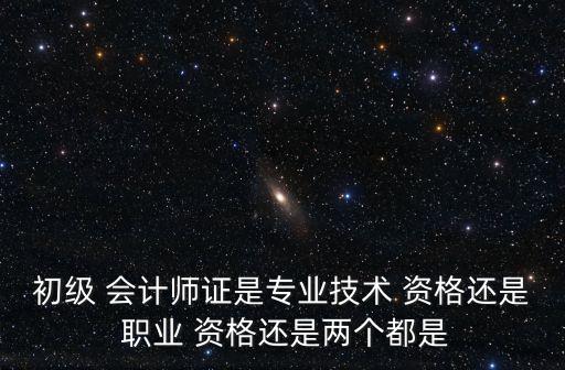 会计从业算职业资格吗,初级会计证书算职业资格证书吗