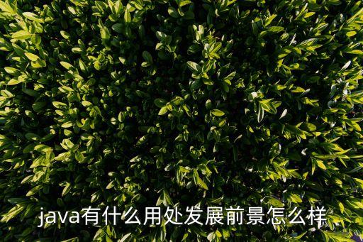  java有什么用处发展前景怎么样