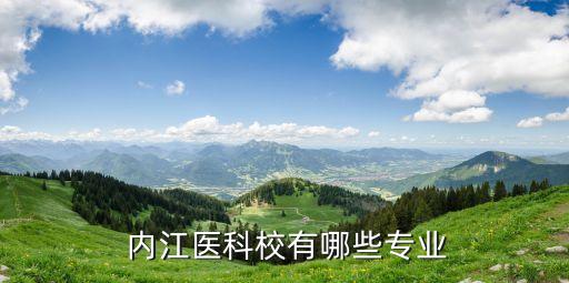 职业技术学院内江卫校,乐山卫校是乐山职业技术学院吗