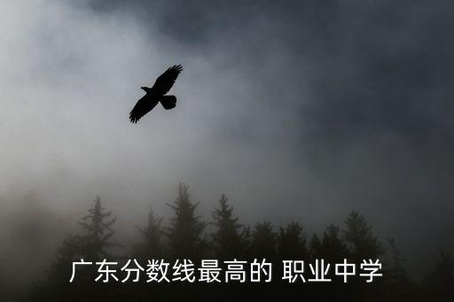 广东分数线最高的 职业中学