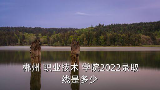  郴州 职业技术 学院2022录取线是多少