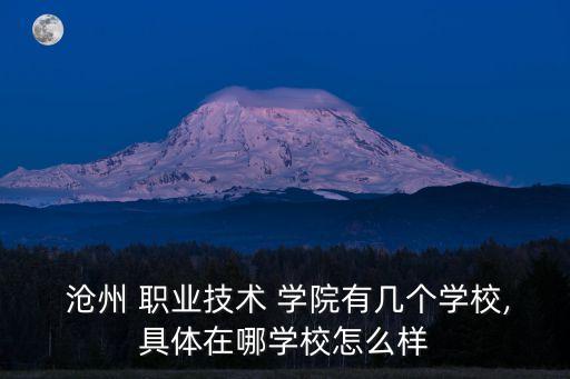 沧州职业学院有3加2吗,无锡工艺美术职业学院3加2