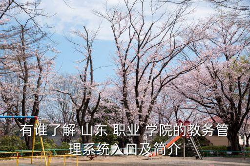 山东职业学院机电一体化技术