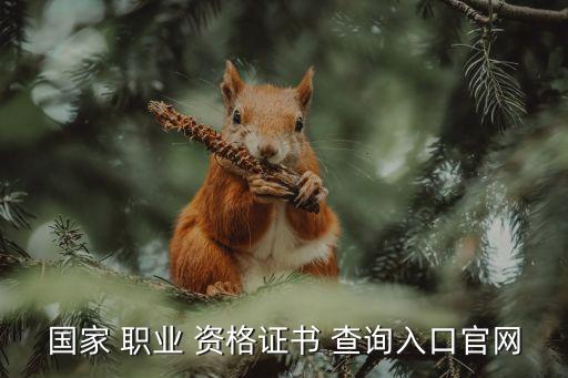 国家 职业 资格证书 查询入口官网
