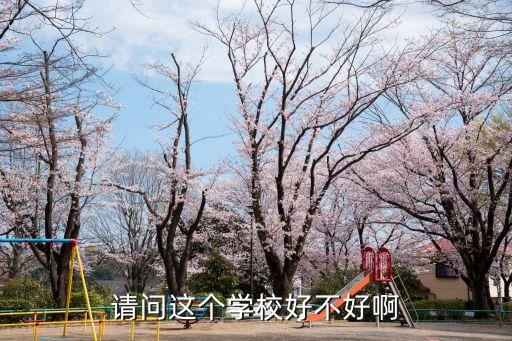 请问这个学校好不好啊