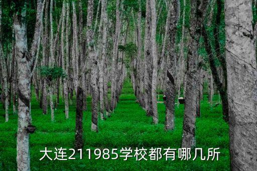 大连理工职业学院