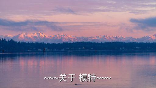 辽宁北方模特职业培...