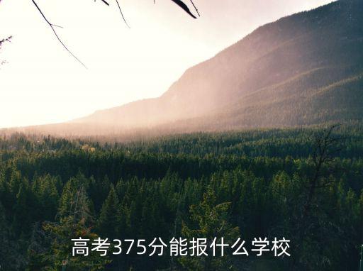 高考375分能报什么学校