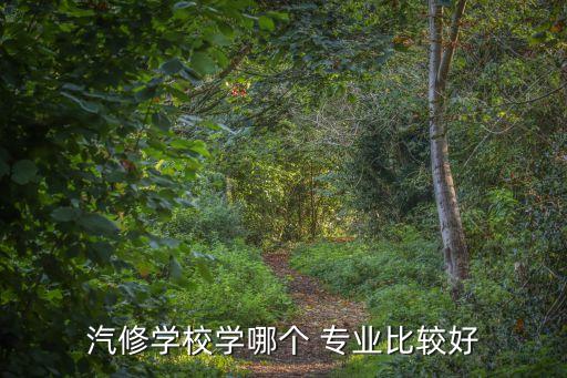 汽修学校学哪个 专业比较好