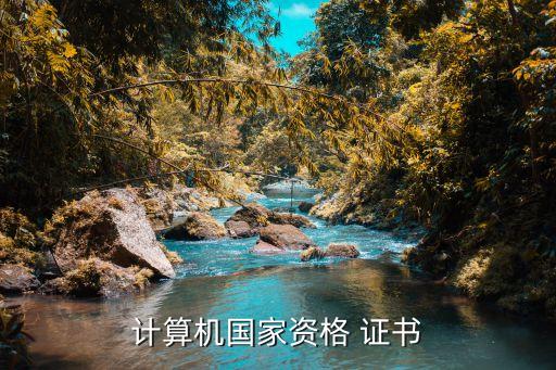 计算机国家资格 证书