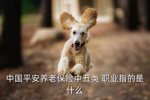 中国平安养老保险中五类 职业指的是什么