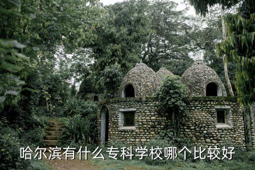 鸡西职业技术学院专业,遵义职业技术学院有哪些专业