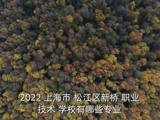 上海松江有职业学校