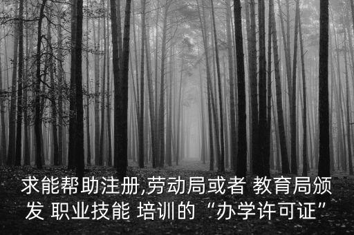 求能帮助注册,劳动局或者 教育局颁发 职业技能 培训的“办学许可证”