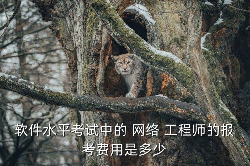 软件水平考试中的 网络 工程师的报考费用是多少