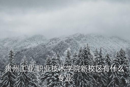 贵州工业 职业技术学院新校区有什么专业