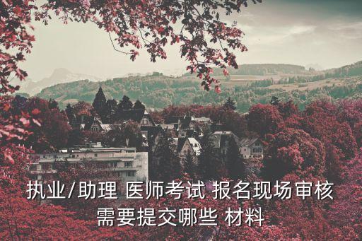 2015国家公卫职业医师报名材料
