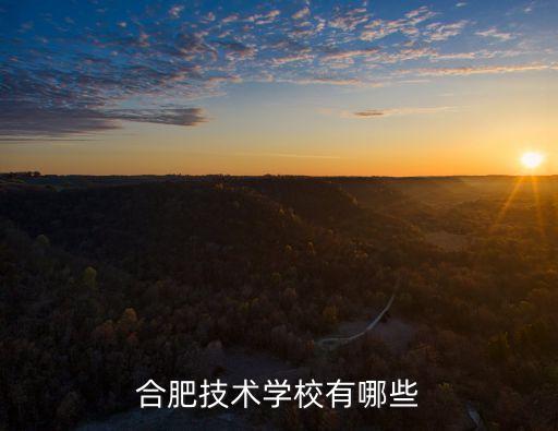 合肥技术学校有哪些