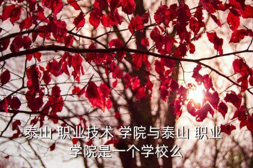 泰山 职业技术 学院与泰山 职业 学院是一个学校么
