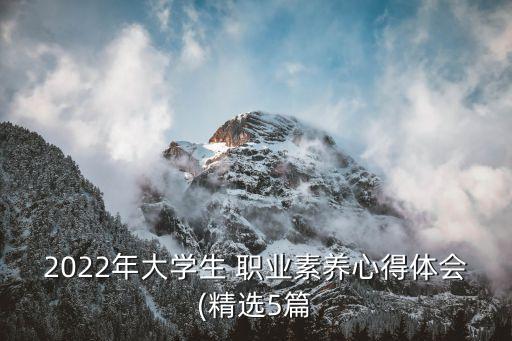 2022年大学生 职业素养心得体会(精选5篇