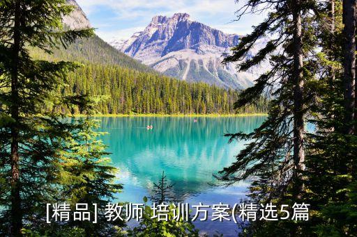 [精品] 教师 培训方案(精选5篇