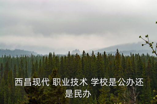  西昌现代 职业技术 学校是公办还是民办