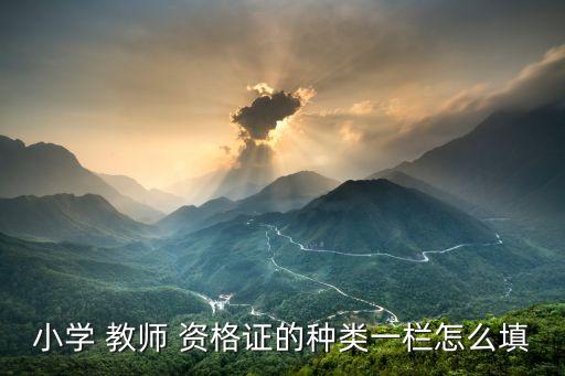 小学 教师 资格证的种类一栏怎么填