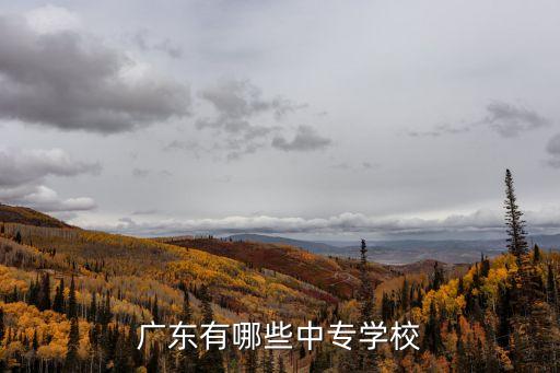 广州市职业教育机构,中国十大品牌职业教育机构