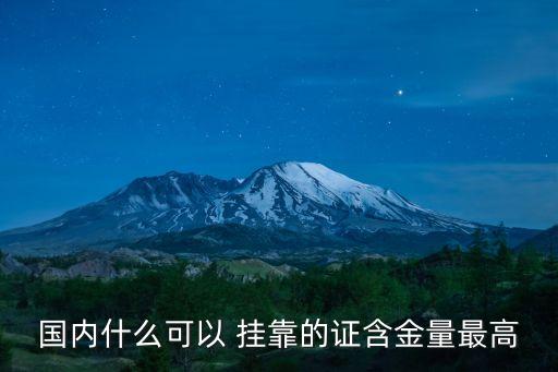国内什么可以 挂靠的证含金量最高