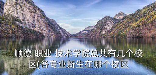  顺德 职业 技术学院总共有几个校区(各专业新生在哪个校区