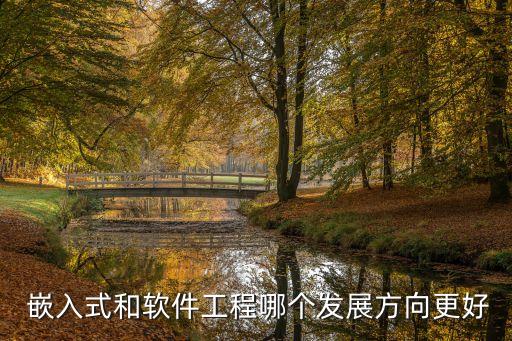  嵌入式和软件工程哪个发展方向更好