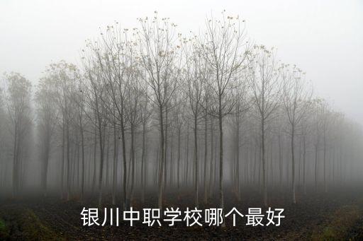  银川中职学校哪个最好