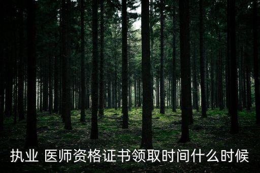 执业 医师资格证书领取时间什么时候