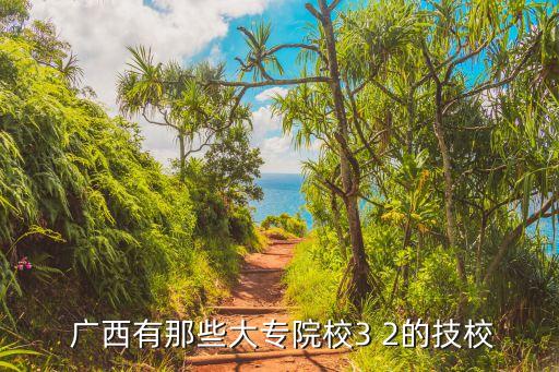  广西有那些大专院校3 2的技校