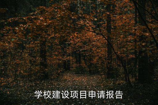 学校建设项目申请报告