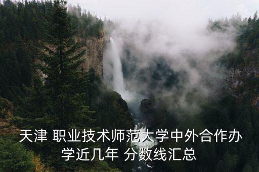  天津 职业技术师范大学中外合作办学近几年 分数线汇总
