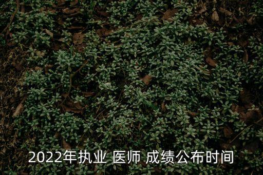 2022年执业 医师 成绩公布时间
