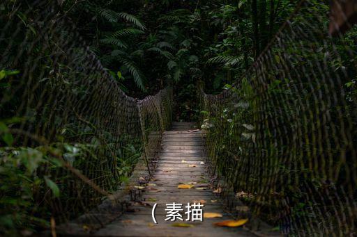 职业妆素描图片大全,半脸妆图片古风素描