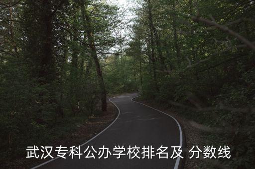  武汉专科公办学校排名及 分数线