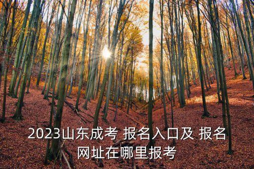 2023山东成考 报名入口及 报名网址在哪里报考