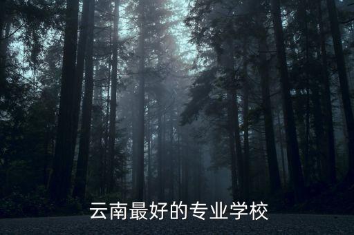  云南最好的专业学校
